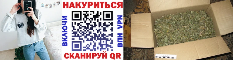Марихуана план  Купить закладки  Чехов 